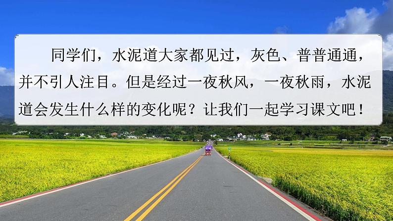 部编人教版三年级语文上册《5 铺满金色巴掌的水泥道》教学课件小学公开课02