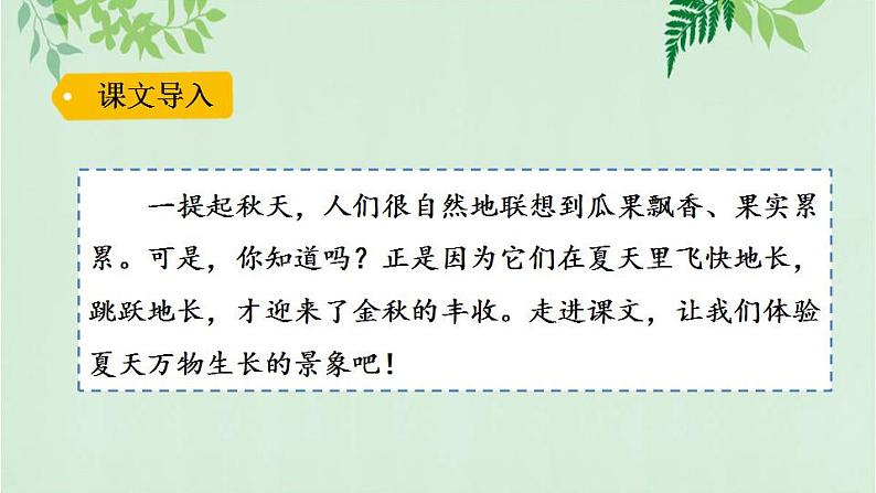 部编版六年级语文上册《16夏天里的成长》课件01