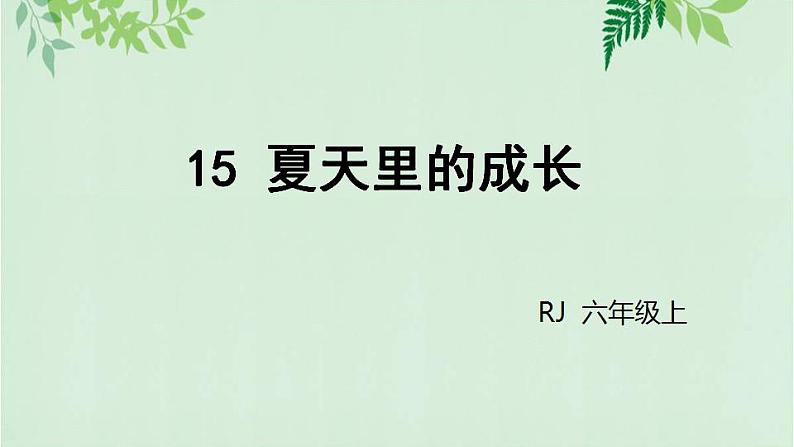 部编版六年级语文上册《16夏天里的成长》课件02