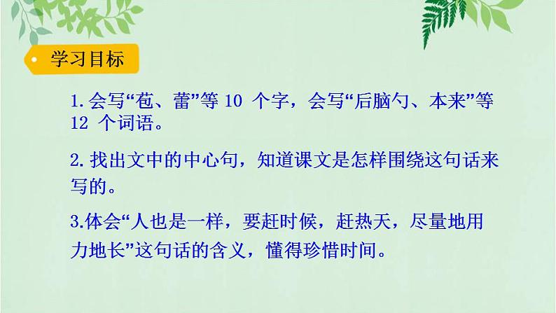 部编版六年级语文上册《16夏天里的成长》课件03