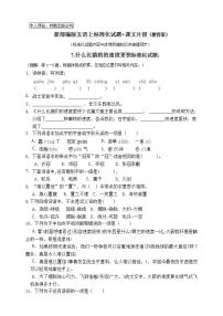 小学语文第二单元7 什么比猎豹的速度更快精品练习题