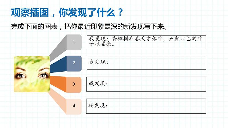 人教部编版小学语文三年级上册习作第五单元 《我们眼中的缤纷世界》课件205