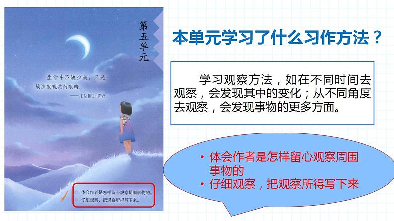 人教部编版小学语文三年级上册习作第五单元 《我们眼中的缤纷世界》课件206