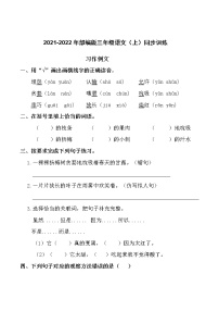 2021-2022年统编版三年级语文（上）同步训练(1)