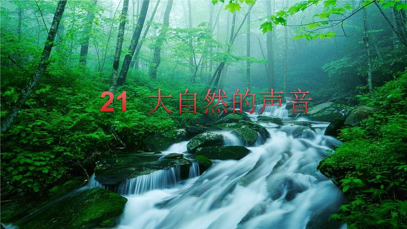 部编版三年级语文上册21.大自然的声音(第二课时）课件PPT第2页