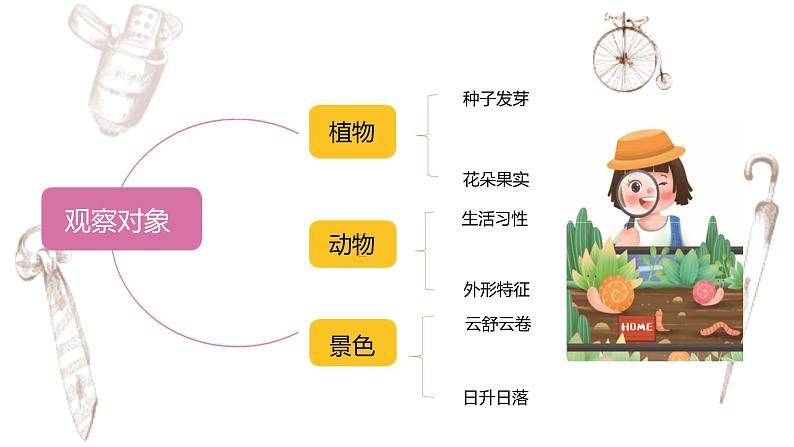 写作专题：部编版小学语文四年级上册第三单元习作  写观察日记 课件06