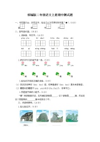 部编版 二年级语文上册 期中测试题 精选卷（有答案）