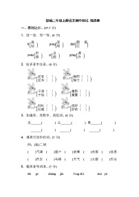 部编版 二年级上册 语文 期中测试 精选卷（附答案)