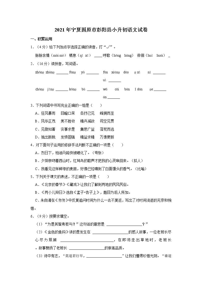 2021年宁夏固原市彭阳县小升初语文试卷  解析版第1页
