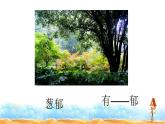 人教部编版二年级语文下册 8.《彩色的梦》课件、教案和课堂达标