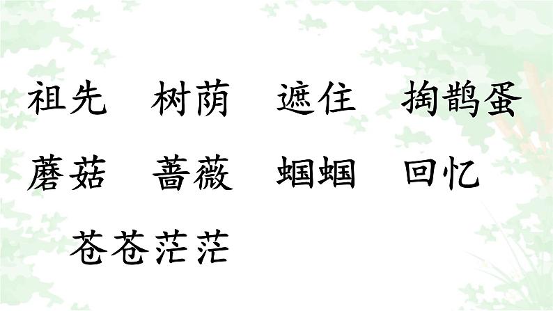 人教部编版二年级语文下册   23.《祖先的摇篮》课件、教案和课堂达标 106