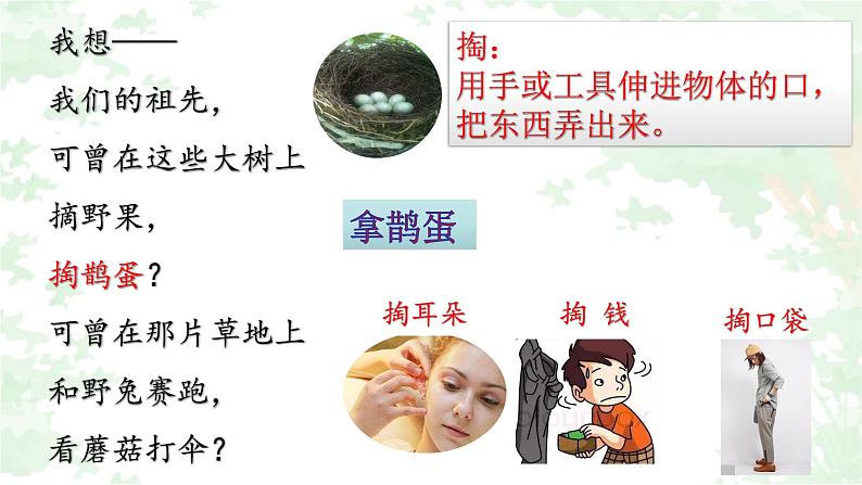 人教部编版二年级语文下册   23.《祖先的摇篮》课件、教案和课堂达标 108