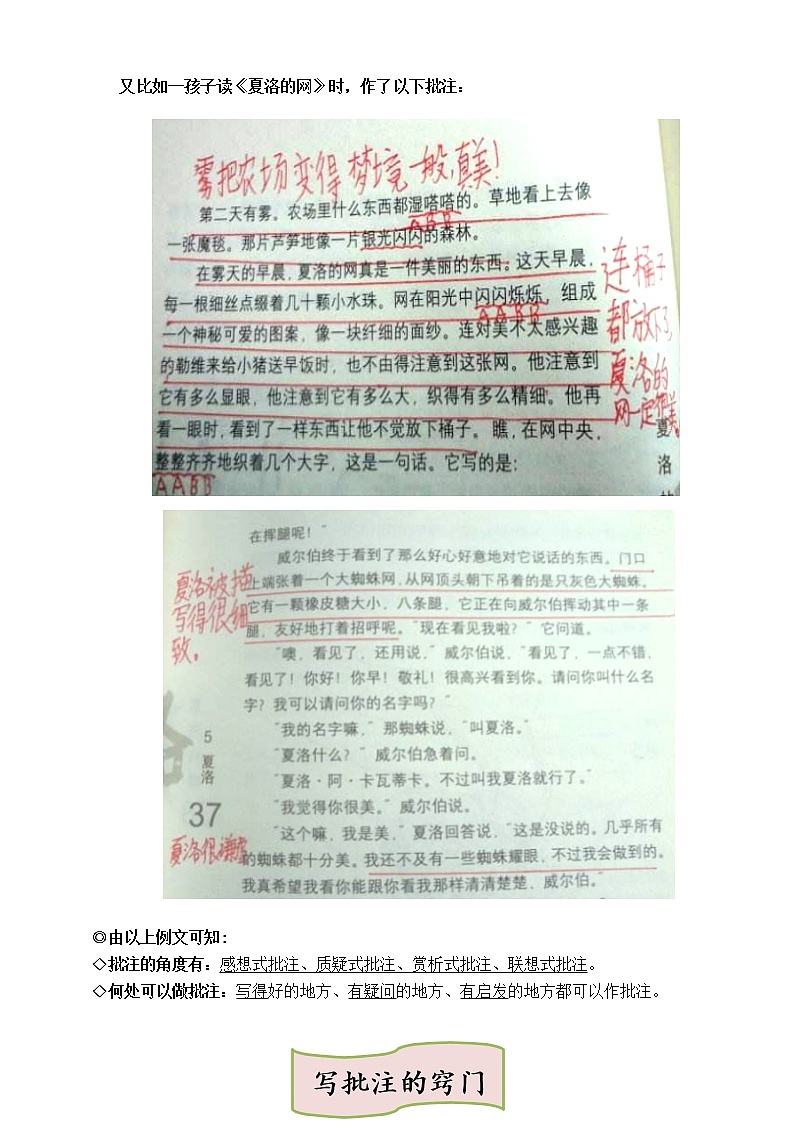 （同步阅读拔尖）部编版四年级语文上册各类阅读真题名师解析连载六（含小古文、非连续性文本等）第3页