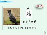 部编版一年级语文上册 第八单元 13 乌鸦喝水 课件