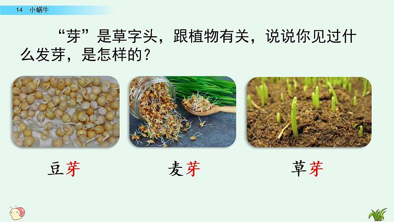 部编版一年级语文上册 第八单元 14 小蜗牛 课件第8页