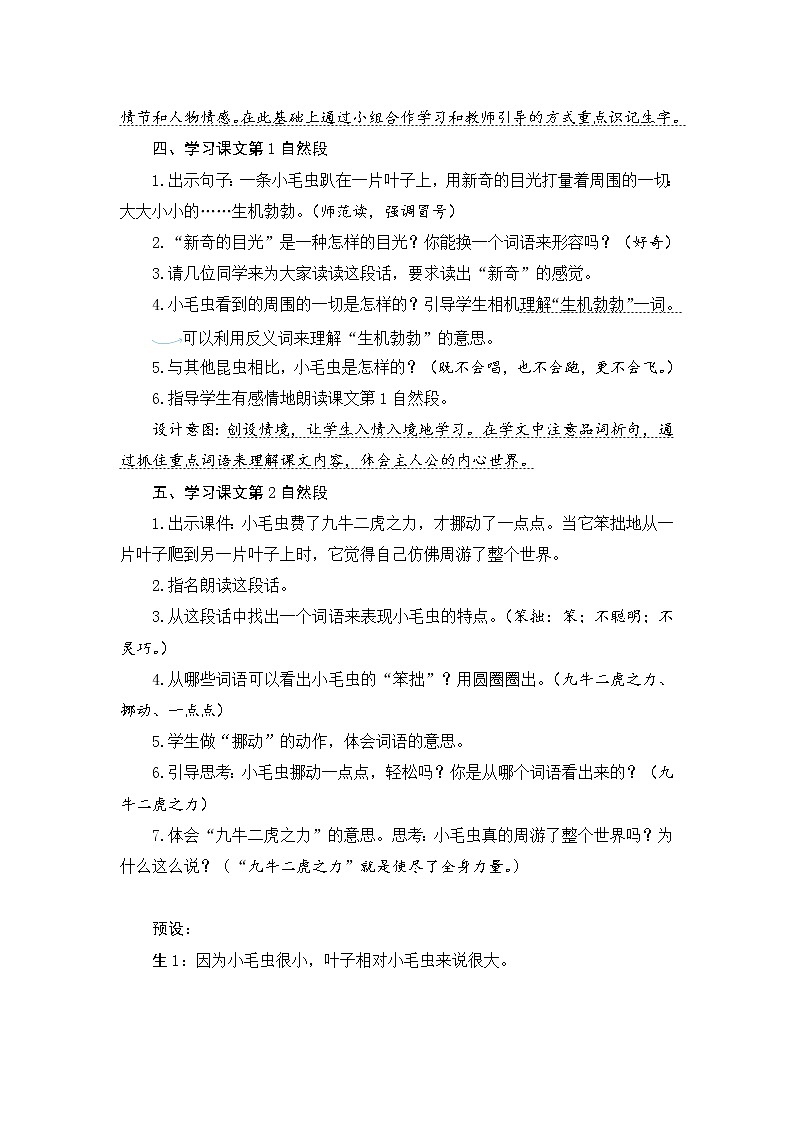 22　小毛虫 教案第3页