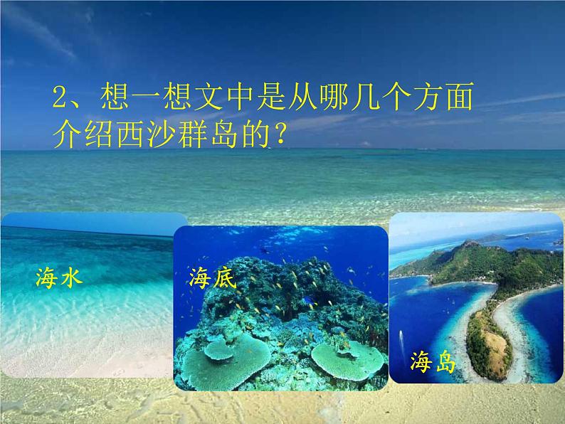 18《富饶的西沙群岛》（课件）-2020-2021学年语文三年级上册04