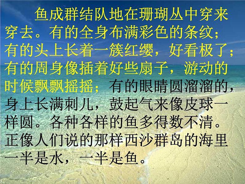 18《富饶的西沙群岛》（课件）-2020-2021学年语文三年级上册08