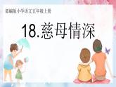 慈母深情第一课时课件PPT