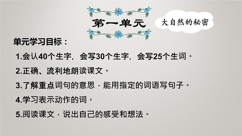 部编版小学语文二年级上册期中复习专题 课件02