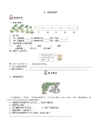 2021学年课文414 我要的是葫芦课后测评