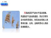 24 部编版二年级上册语文风娃娃课件