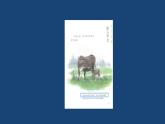 部编版五年级语文2《慈母情深》ppt
