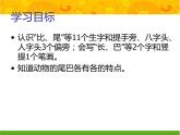 《6.比尾巴》（课件）-2021-2022学年语文一年级上册