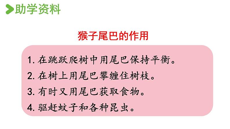 6.比尾巴（课件）-2021-2022学年语文一年级上册-第一课时第5页