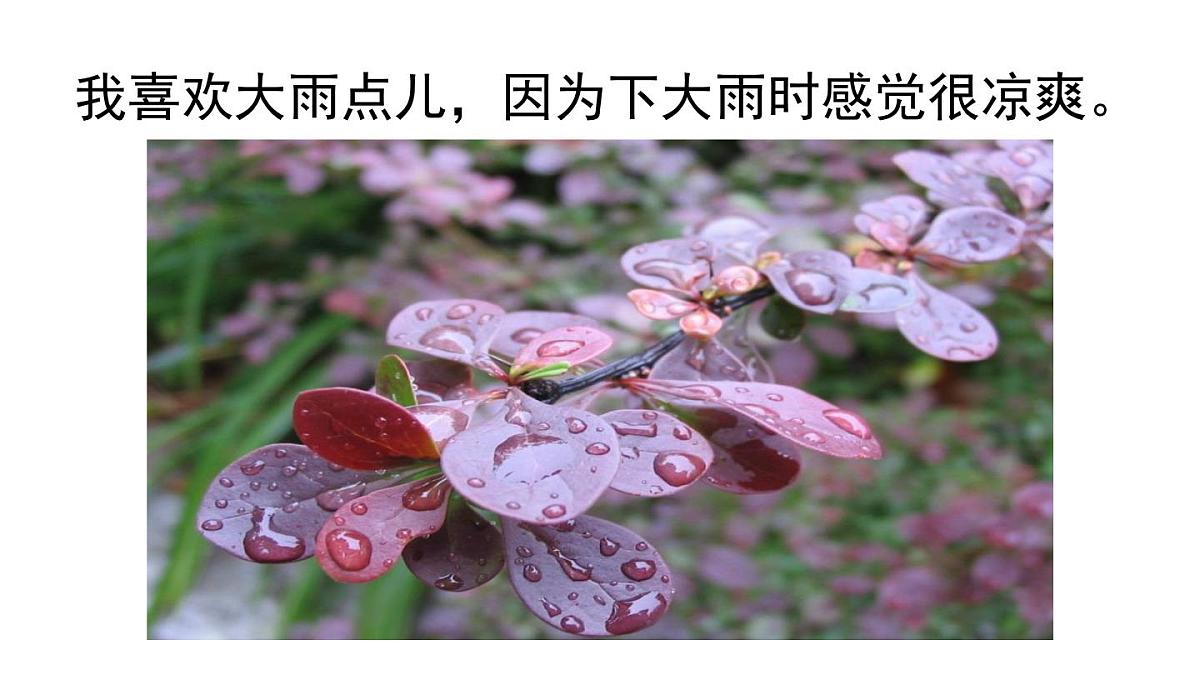 8雨点儿第一课时（课件）-2021-2022学年语文一年级上册第8页