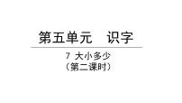 小学语文7 大小多少教案配套ppt课件