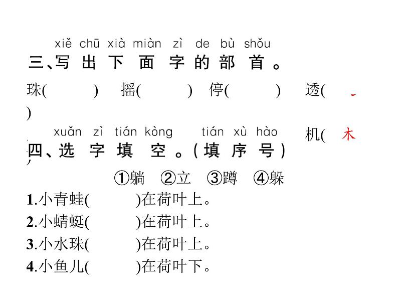 人教部编版语文一年级下册13　荷叶圆圆课件04