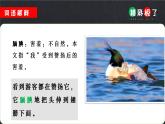 部编版语文五年级上册20《精彩极了和糟糕透了》课件PPT
