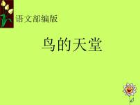 小学语文人教部编版五年级上册23 鸟的天堂教课内容课件ppt