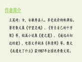 部编版语文五年级上册 14 圆明园的毁灭（课件）