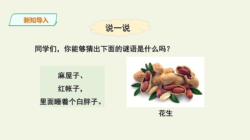 部编版语文五年级上册 2 落花生（课件）03