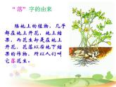 部编版语文五年级上册 2 落花生(2)（课件）