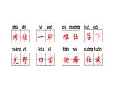 部编(统编)三年级上册小学语文期末复习课件(按单元复习)PPT