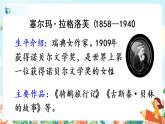 6*《騎鵝旅行記（節(jié)選）》課件+教案+朗讀音頻+視頻素材