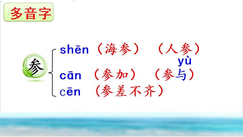 三年级上部编版语文18 富饶的西沙群岛第一课时课件PPT第7页