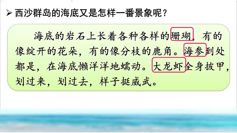 18课富饶的西沙群岛第二课时课件PPT第2页