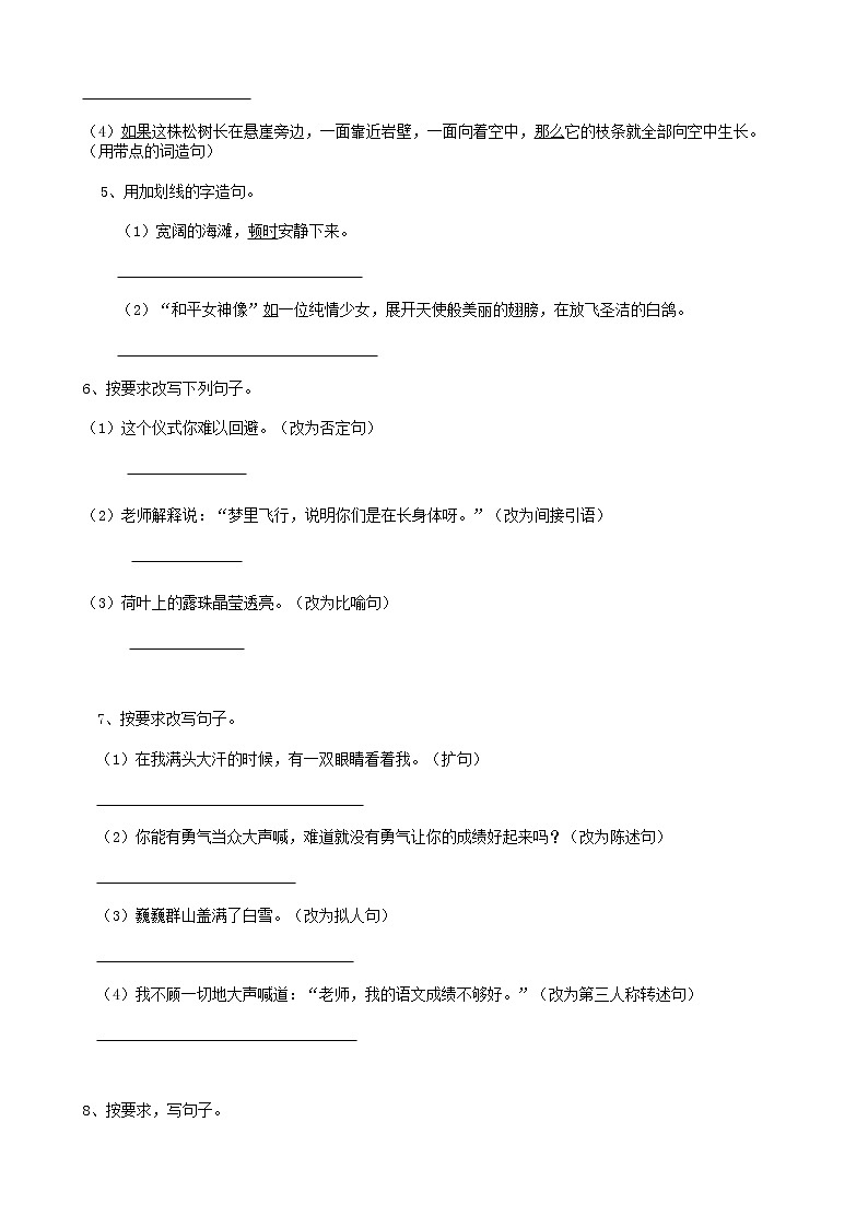 21小升初语文复习专题句法句式-修辞02（18页）含参考答案02