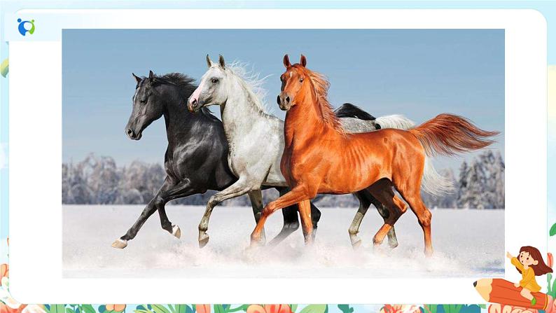 10《古诗三首》第一课时  课件+教案+生字视频02