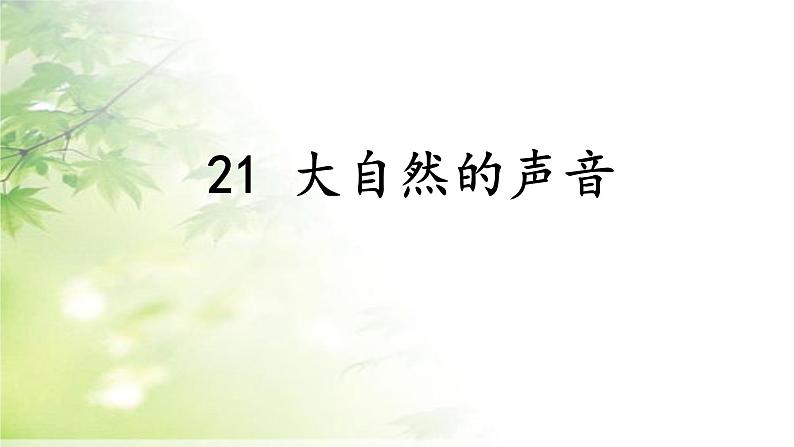 三年级上册21大自然的声音课件（19张PPT）第3页