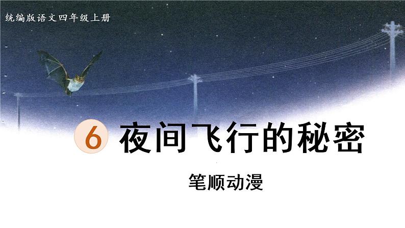 6《夜间飞行的秘密》   生字课件（笔顺动漫）01