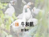 18《牛和鹅》   生字课件（笔顺动漫）