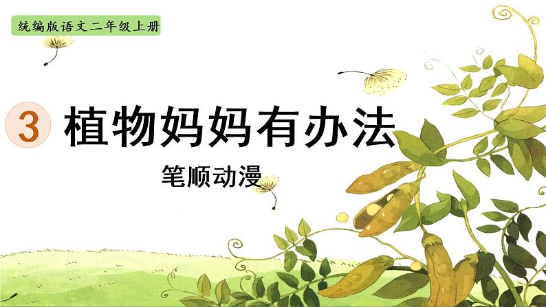 3.《植物妈妈有办法》 生字课件（笔顺动漫）第1页