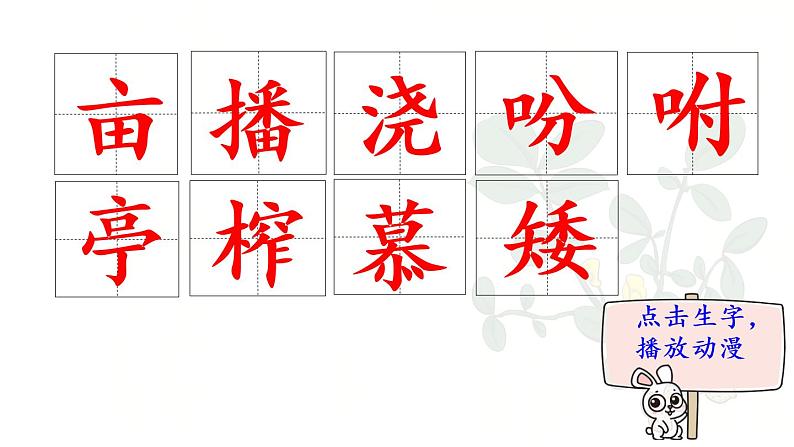 2.《落花生》 生字课件（笔顺动漫）02