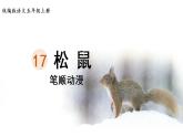 17.《松鼠》 生字课件（笔顺动漫）