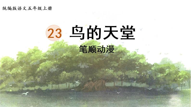 23.《鸟的天堂》 生字课件（笔顺动漫）第1页